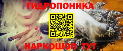 ALPHA PVP Гай