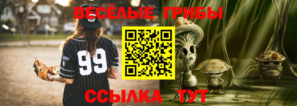 Курчалой  Псилоцибиновые грибы Psilocybe  купить закладку  Вход с VPN  Псилоцибиновые грибы ЛСД 