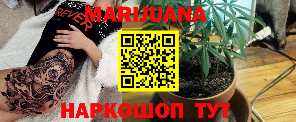 Канабис семена Курчалой